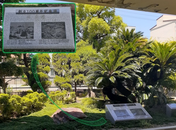 ソテツと100周年銘板